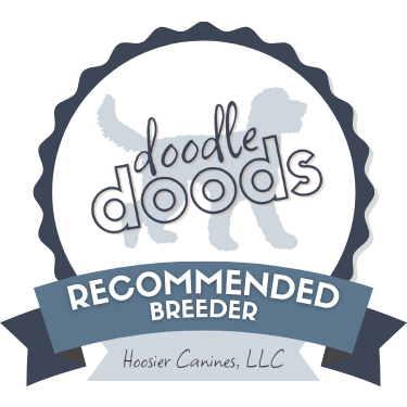 A stamp recognizing Hoosier Canines as a Doodle Doods Recommended Breeder.