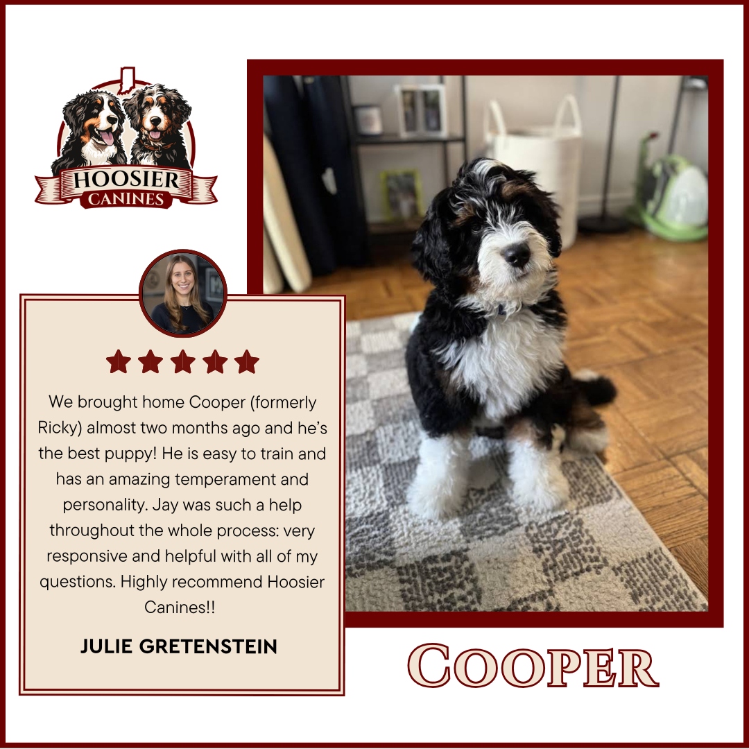 Cooper-Hoosier-Canines