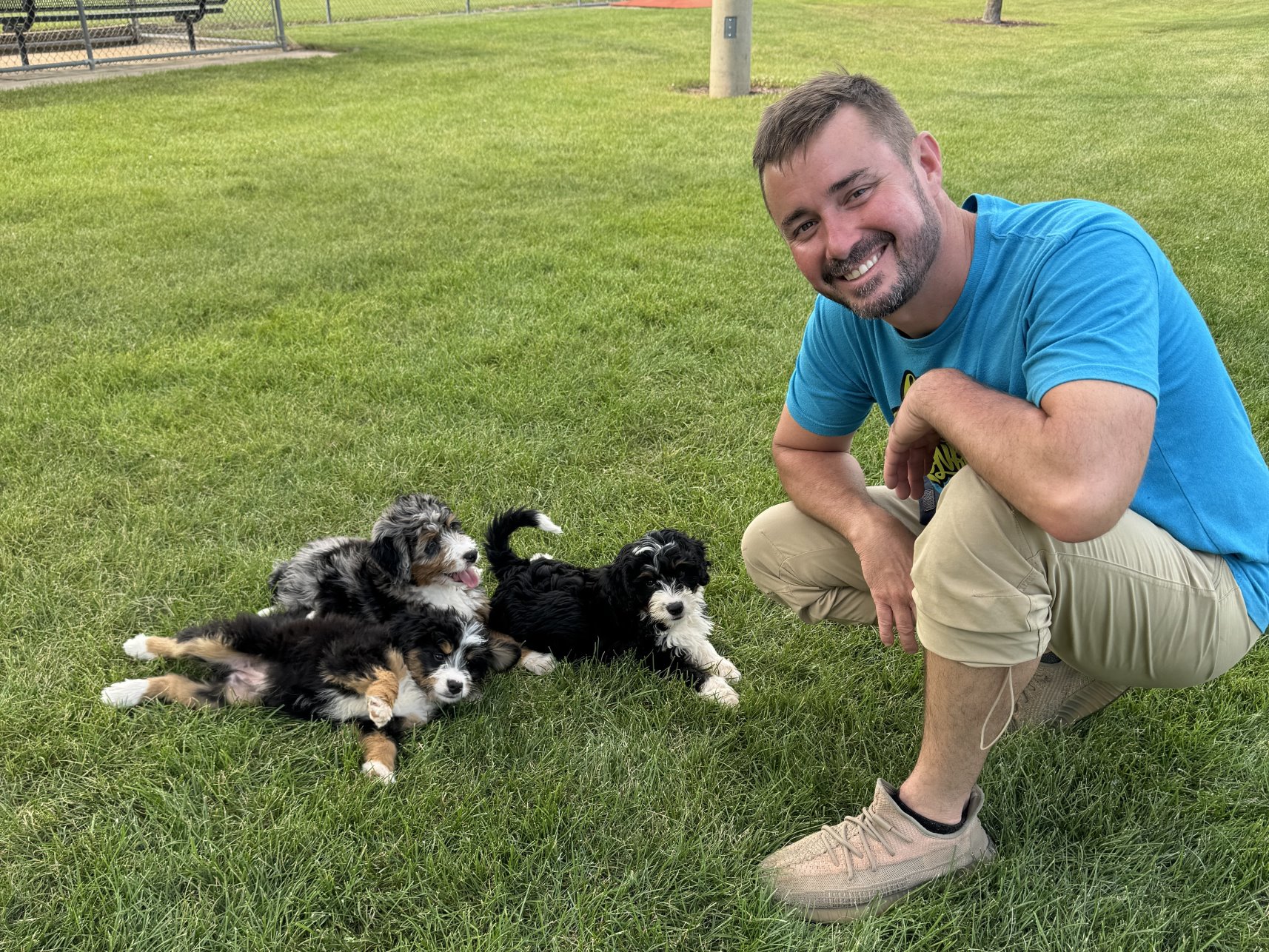 Tyler The Trainer working with 3 Bernedoodle Puppies who were all adopted trained.