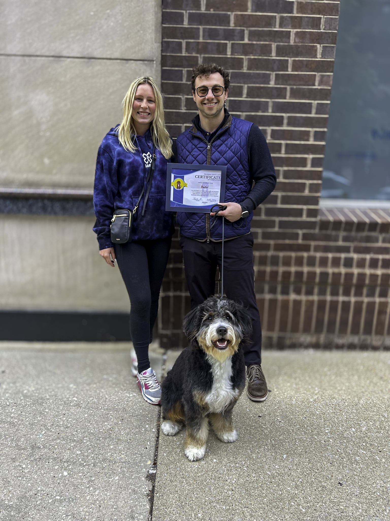 F1 Bernedoodle Graduating his board and train program from Training That Lasts.