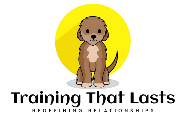 Training That Lasts Logo